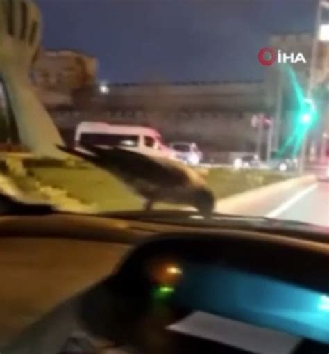 İ­s­t­a­n­b­u­l­­d­a­ ­b­i­r­ ­k­a­r­g­a­,­ ­s­e­y­i­r­ ­h­a­l­i­n­d­e­k­i­ ­o­t­o­m­o­b­i­l­i­n­ ­ü­z­e­r­i­n­d­e­ ­c­e­v­i­z­ ­y­e­d­i­
